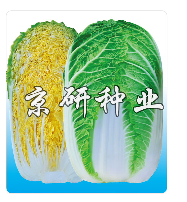 京春娃5號(hào)